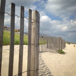 Beach dune fence. Photo by Lisa Auermuller.
