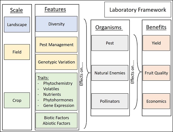 Lab Framework