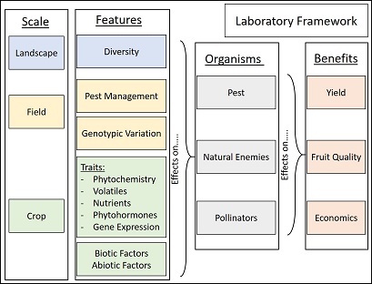 Lab-framework