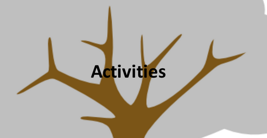 branches activities