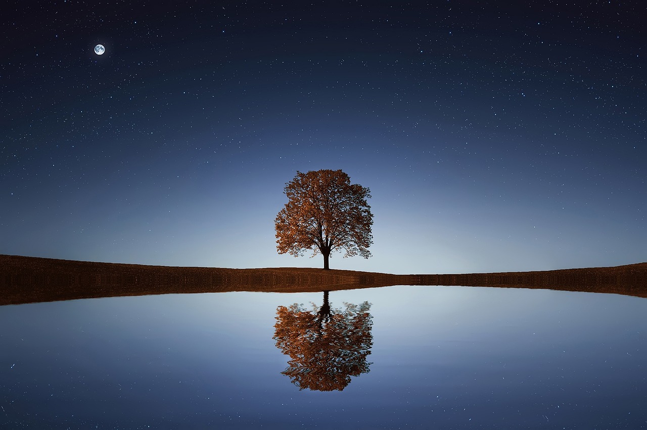 Tree reflecting inlake Image by bess.hamiti@gmail.com from Pixabay