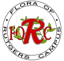 FoRC logo