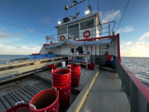 surfclam deck C surfclam deck A