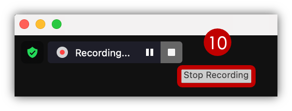 Zoom: Stop Recording