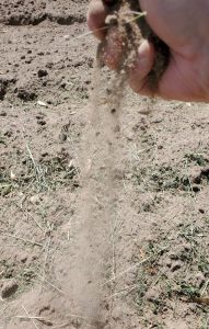 Soil moisture conditions
