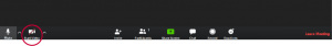 The Zoom toolbar at the bottom of the Zoom window. The camera icon at the bottom left is highlighted.