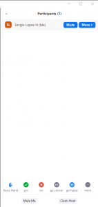 The Participants window in Zoom, usually located to the right of the Zoom window.