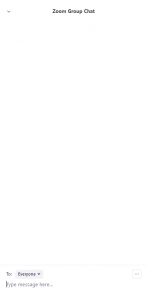 The Chat window in Zoom, usually located to the right of the Zoom window. When active, it should display all public chat messages, as well as all messages directed to you.