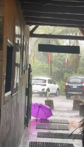 Picture has a shot through an open hallway leading to a parking lot, where it is pouring rain. An open, purple umbrella is sitting under the last of the overhang of the hallway to dry.