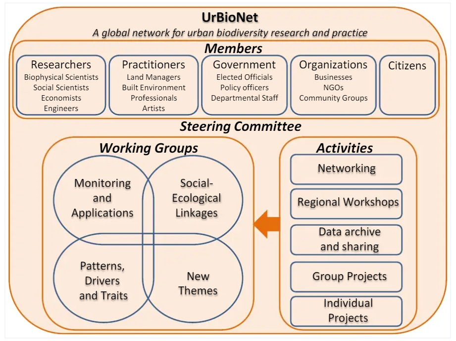 Organization Diagram