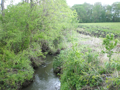 Assiscunk creek