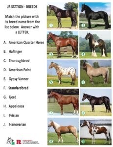 JR Station - Breeds matching activity with ten numbered photos of different horse breeds and a list of breed names to match.