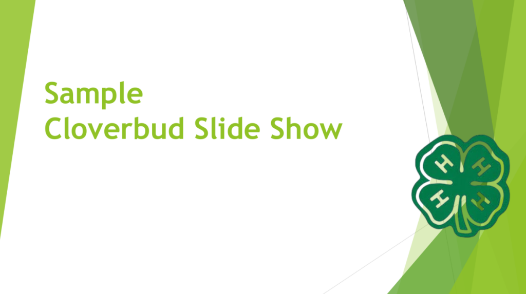 Preview of Sample Cloverbud Slide Show