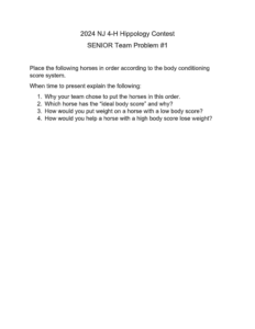 Preview of Sample Senior Team Problem