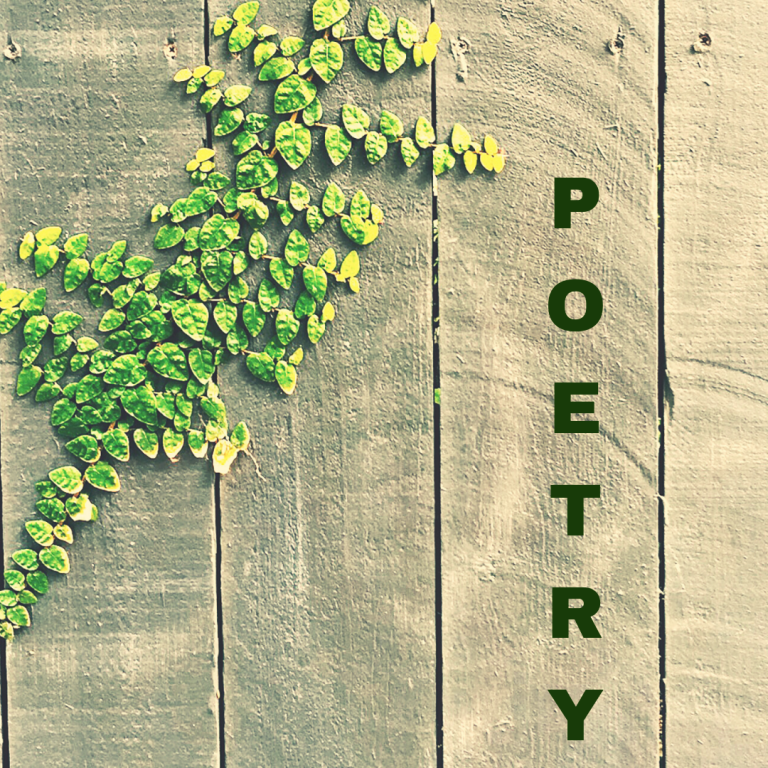 poetry-series-what-is-poetry-and-why-read-it-books-we-read