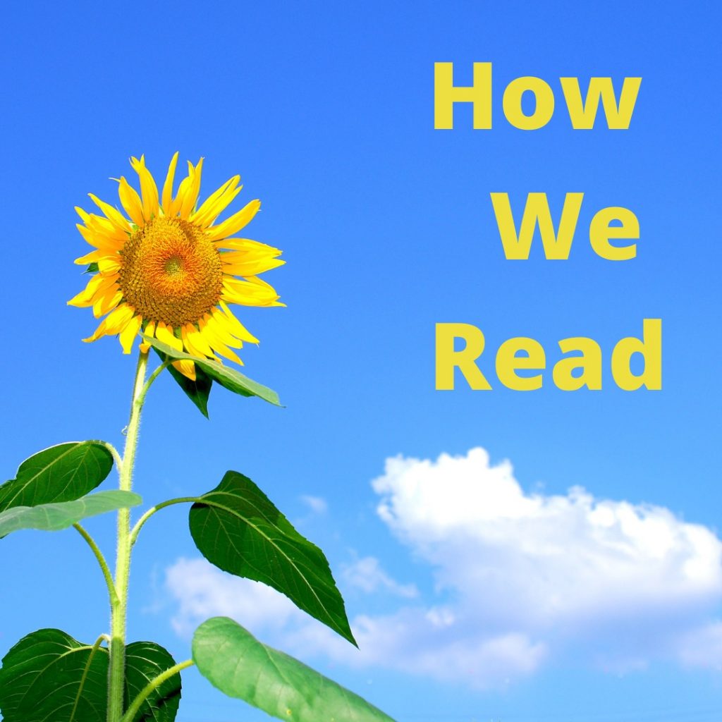 how-we-read-reading-as-a-job-books-we-read