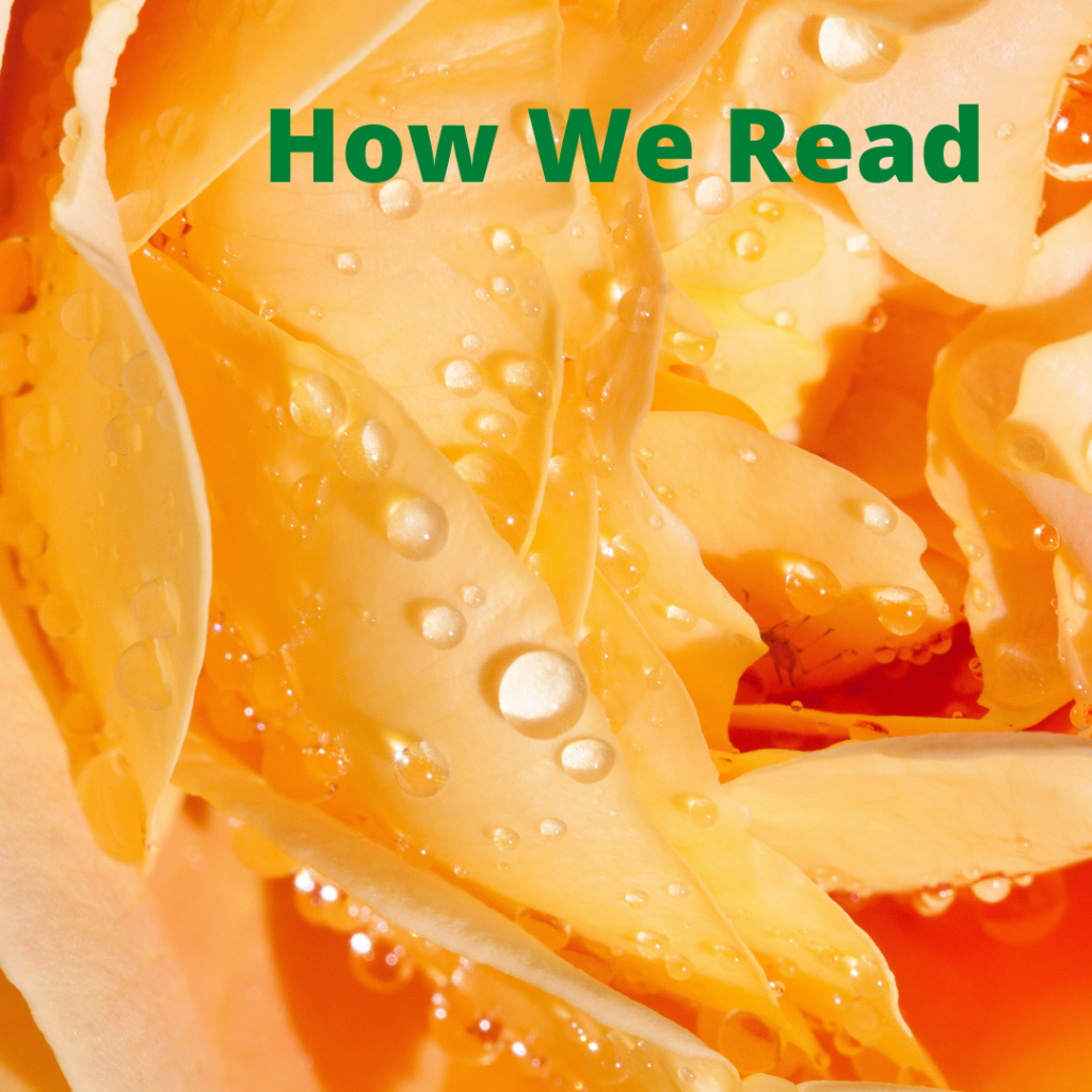 how-we-read-sense-making-books-we-read