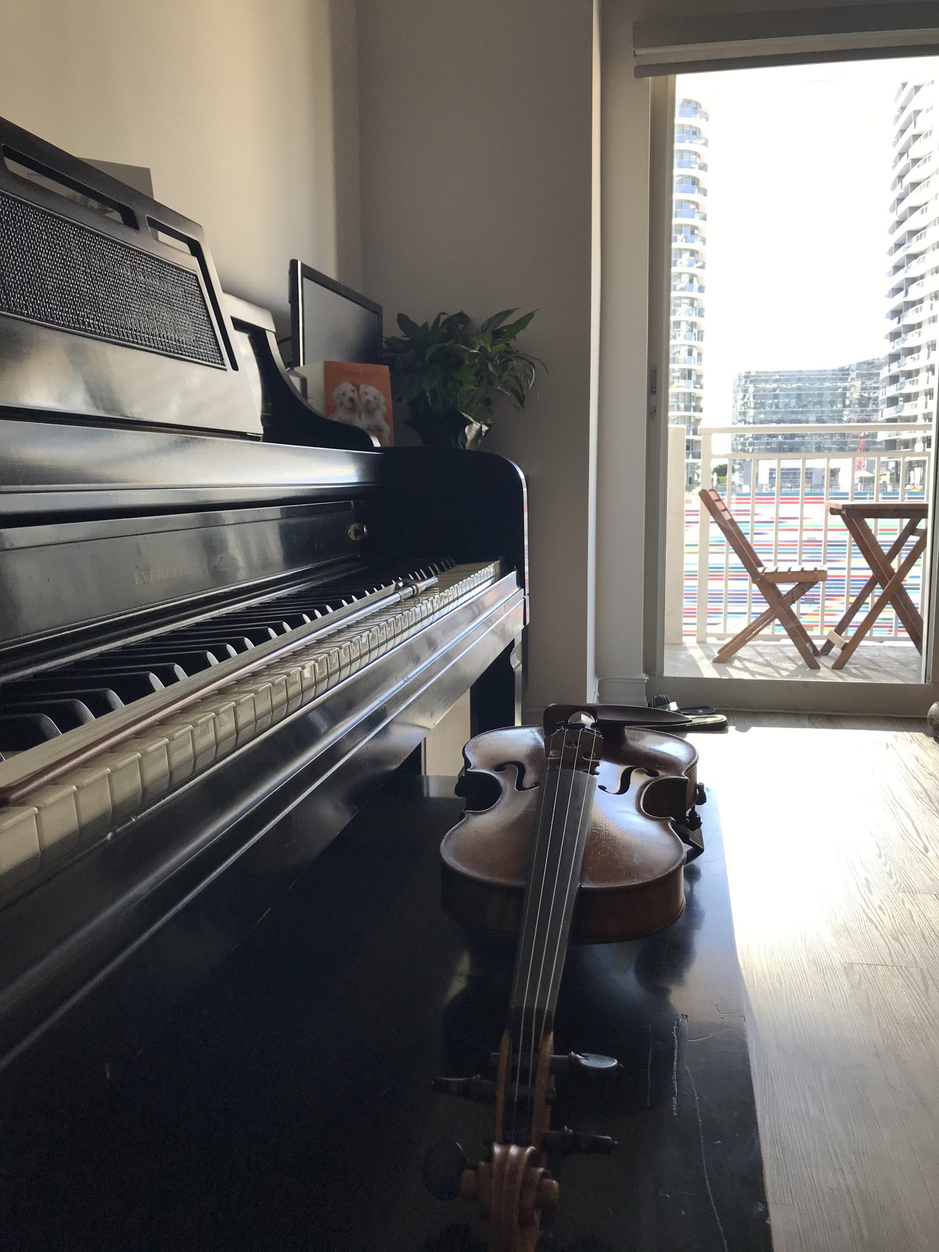 Musical Mysteries The Violin Conspiracy by Brendan Slocumb Books We Read