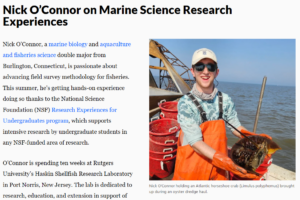 A person with a hat, sunglasses, gloves, and waterproof overalls on a boat with red baskets in the background holding a horseshoe crab.