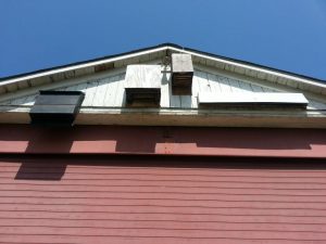 Bat Houses at a NJ farm