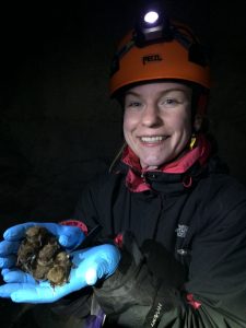 Kathleen with a handful of little brown bats at Hibernia Mine