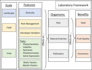 Lab Framework