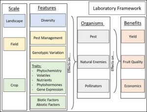 Lab-framework