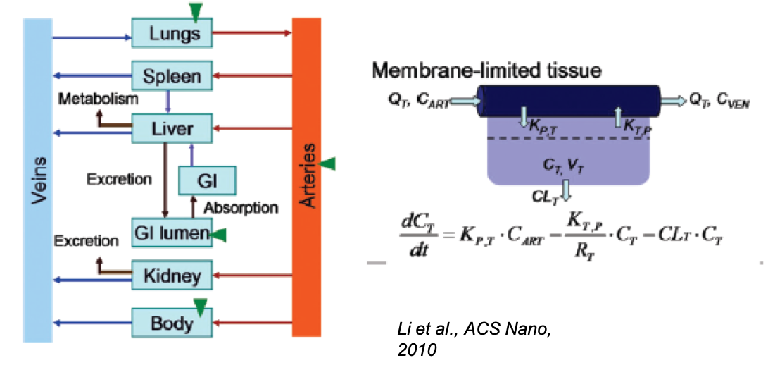 PBPK Modeling of Nanomedicines – Charles Roth