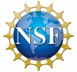 NSF logo
