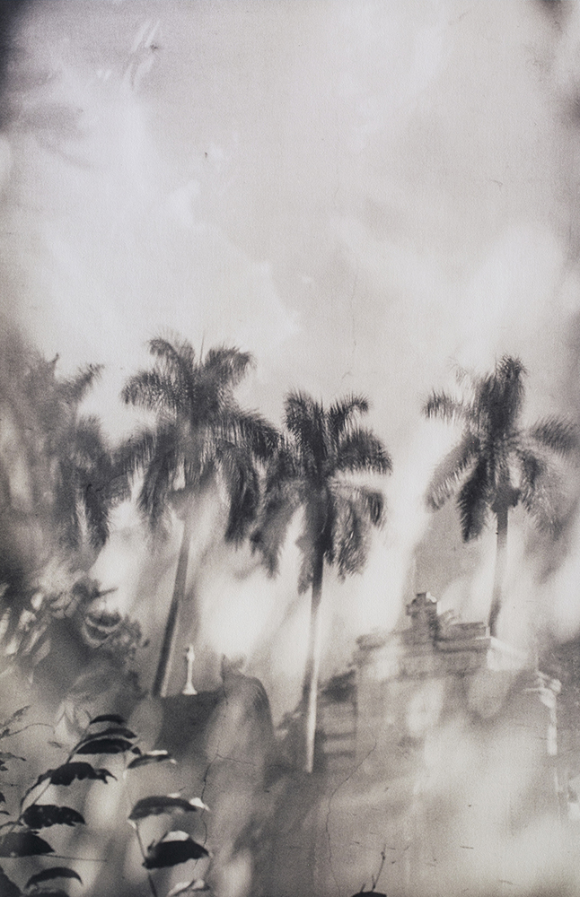 Black and white image of palm trees, sky, and temple.