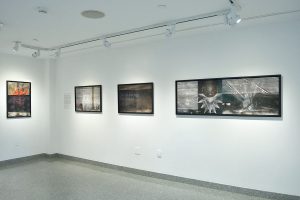 Installation view of four photographs with black frames, heart, figures and seismic register lines.