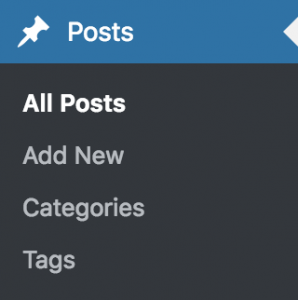 Posts Dashboard Menu