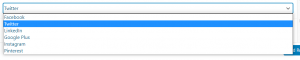 choosing from social media dropdown