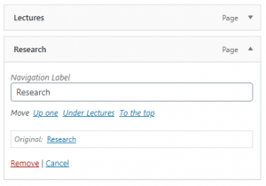 Indented menu item in primary navigation bar