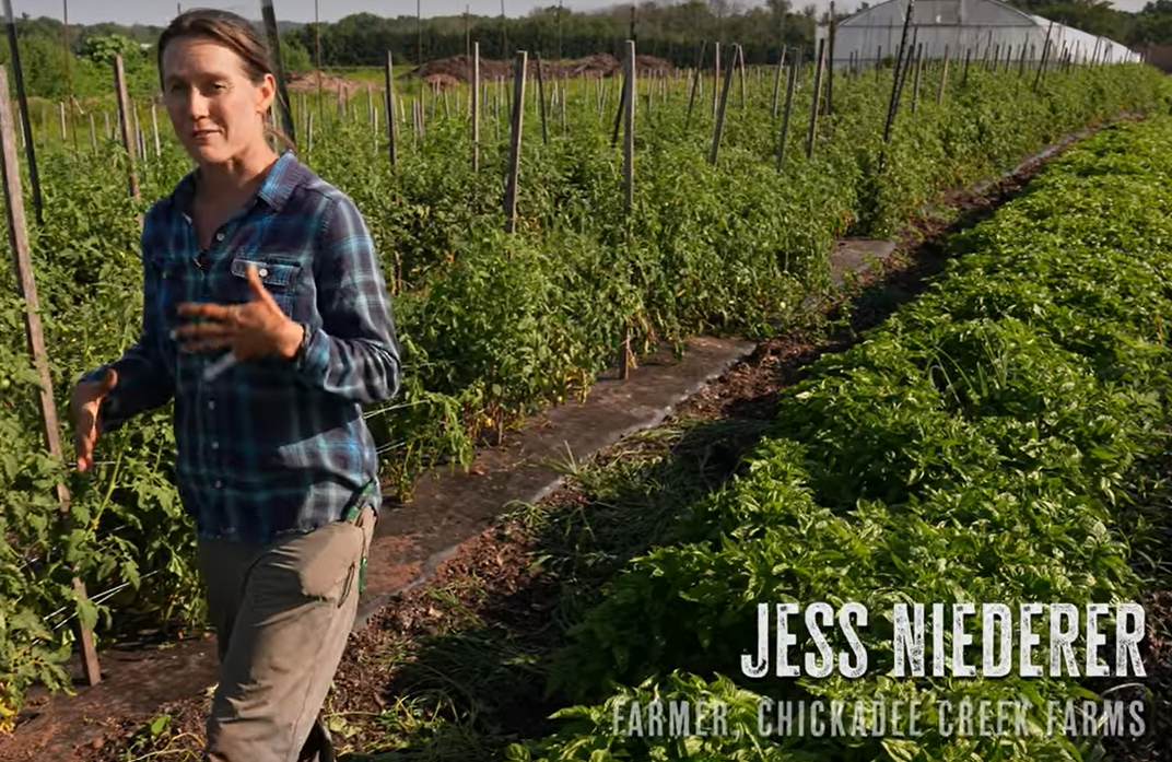 Farmer Jess Neiderer in a field of basil