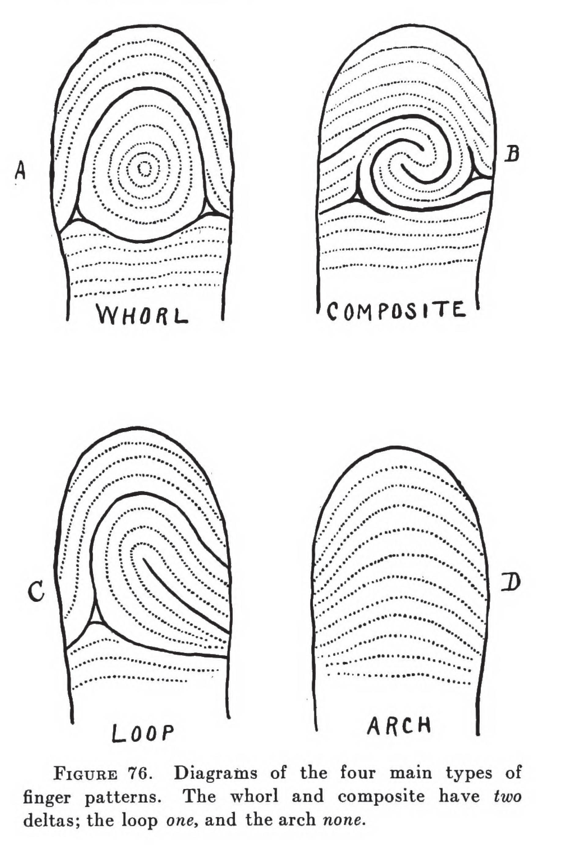 types of fingerprints and what they mean