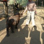 Advanced Study Institute and Workshop on Conservation Biology