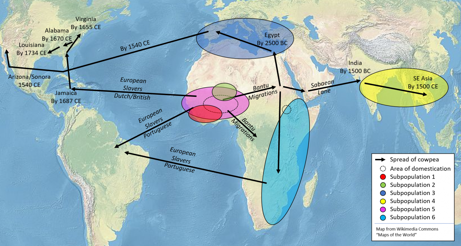 Historical Global Spread of Cowpea – Ira Herniter