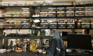 experiments in boxes sitting on shelves in the lab
