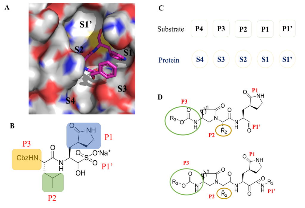 Publications – Jun Wang Lab