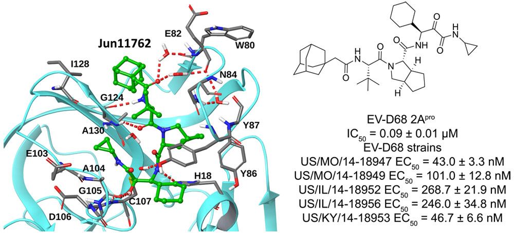 Publications - Jun Wang Lab