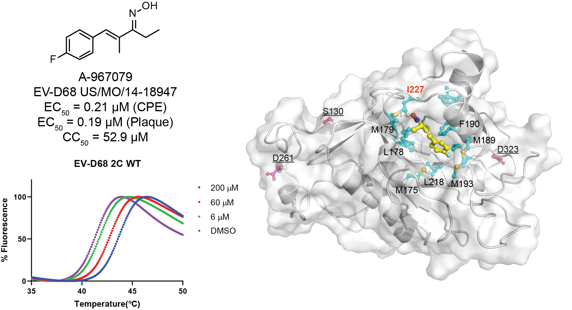 Publications - Jun Wang Lab