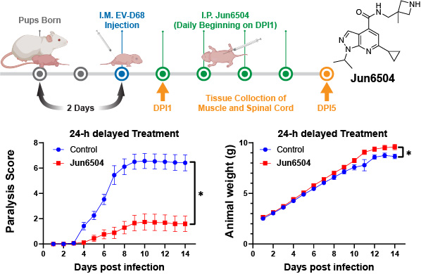 Publications - Jun Wang Lab