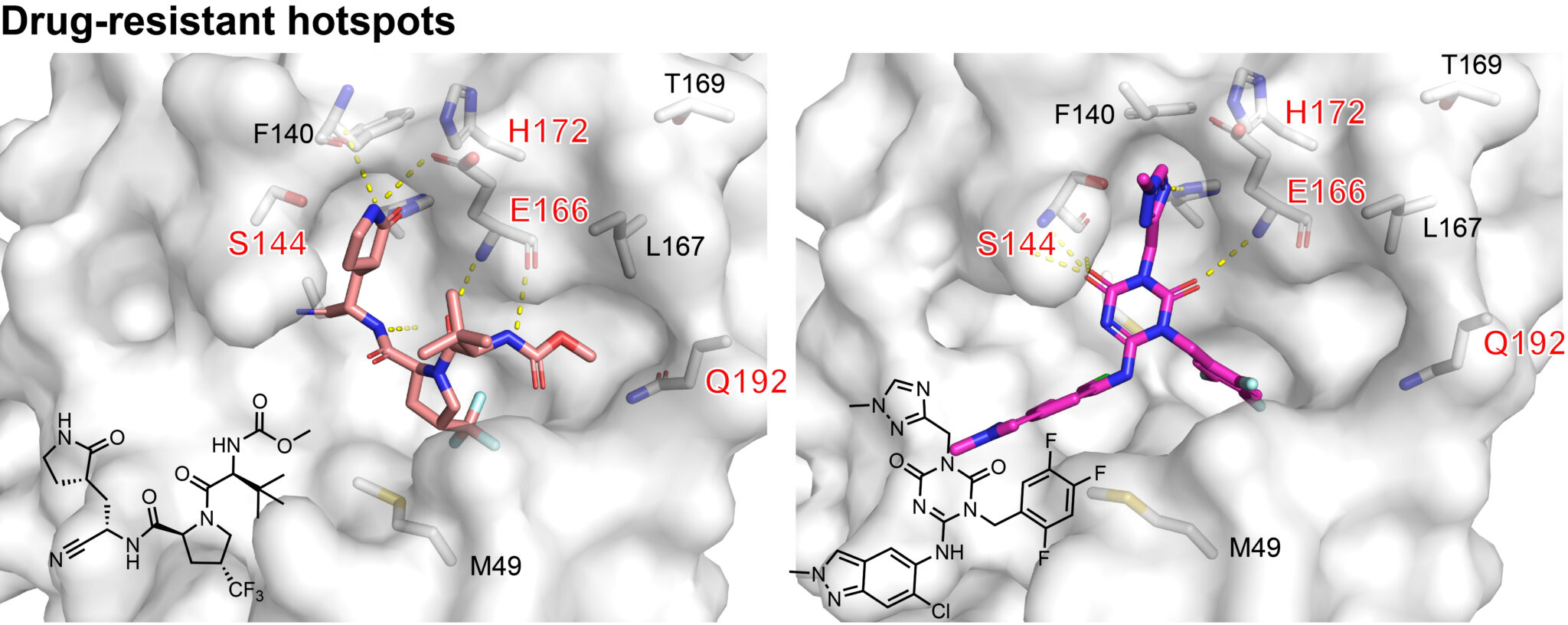 Publications - Jun Wang Lab