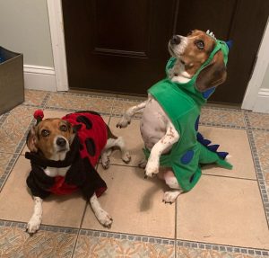 Marlo and Marigold in Dino Costumes