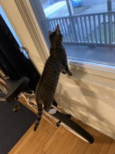 Hannah looking at a screen