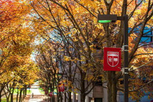 A photograph showing the fall foliage lining the path between the Serin Physics Laboratories and the Nanophysics lab on campus. Flags with the Rutgers logo appear on streetlights lining the path.