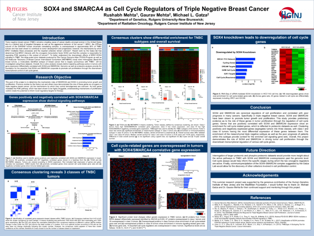 Mehta, Rushabh: SOX4 and SMARCA4 as Cell Cycle Regulators of Triple ...