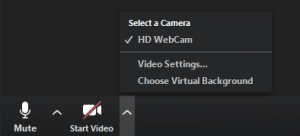 A list of options for sharing your webcam in Zoom.