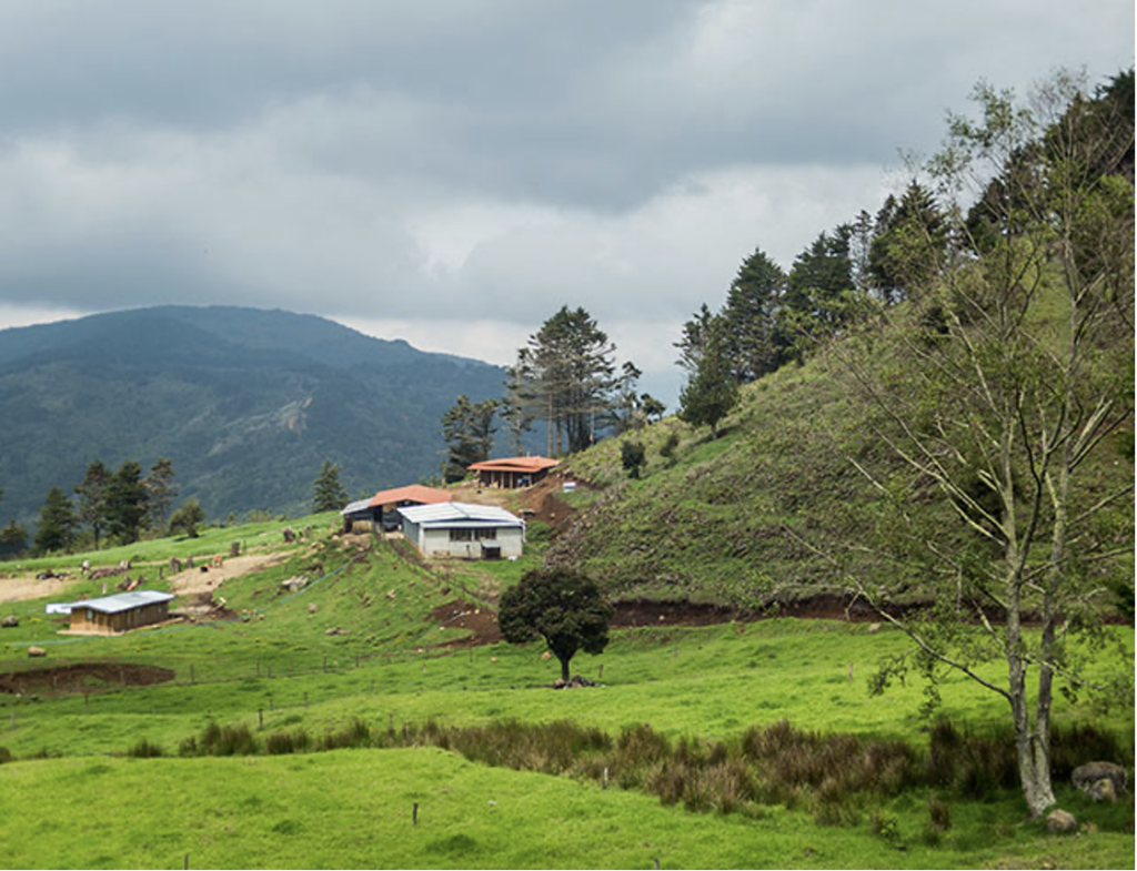 A Caffeinated Journey Through Costa Rica – Talk Science To Me